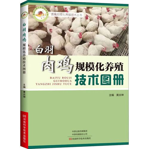 白羽肉鸡规模化养殖技术图册 黄炎坤 编 畜牧/养殖专业科技 新华书店